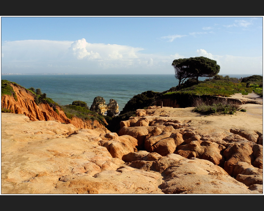 Ponta da Piedade 12