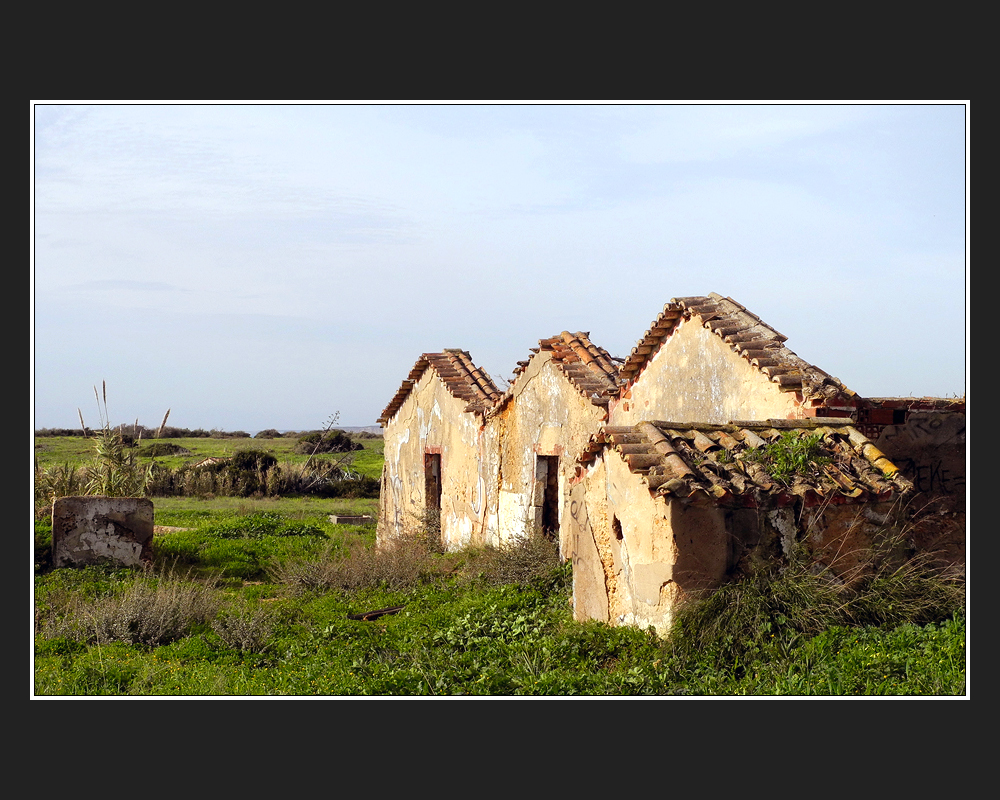 Ponta da Piedade 17