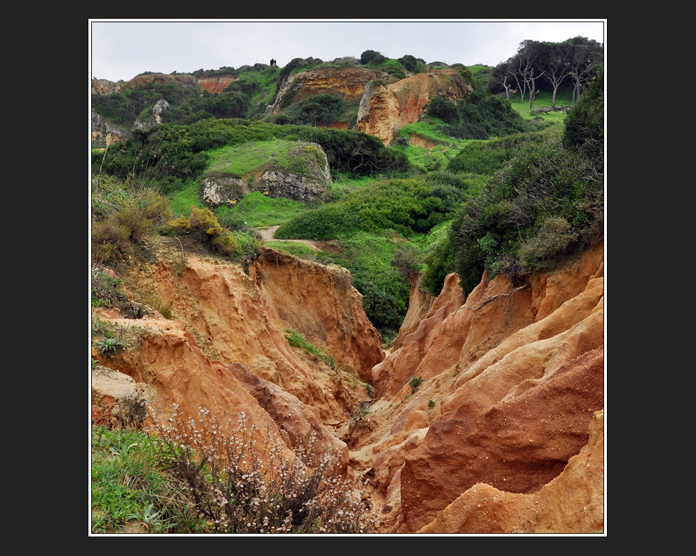 Ponta da Piedade 6