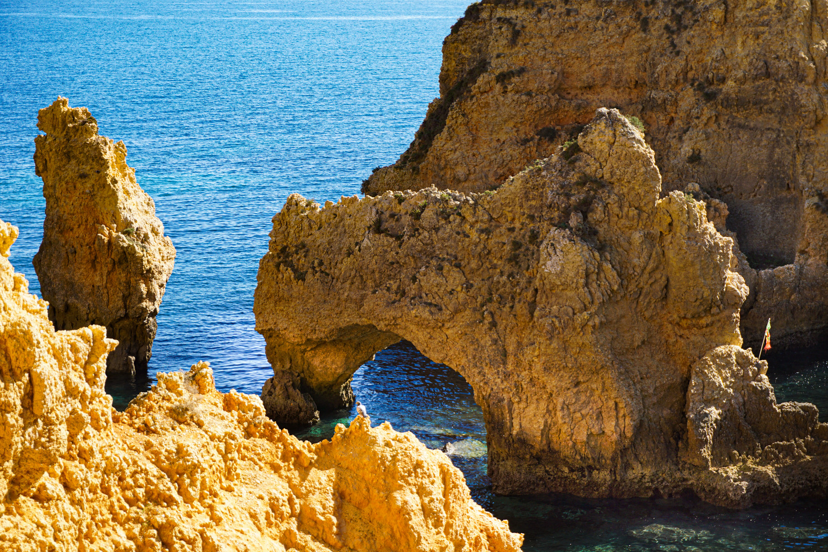 Ponta de Piedade