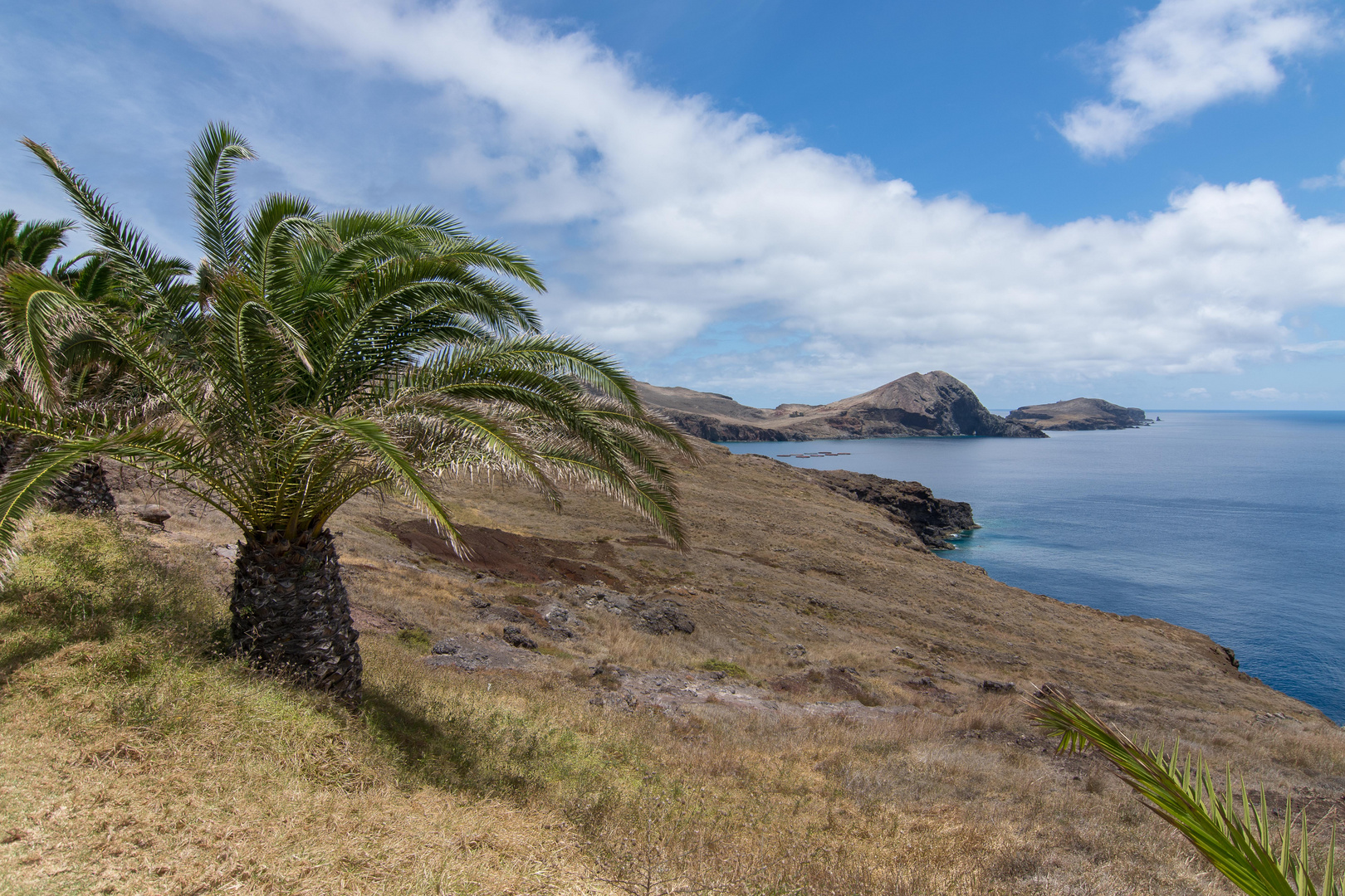 Ponta de Sao Lourenco