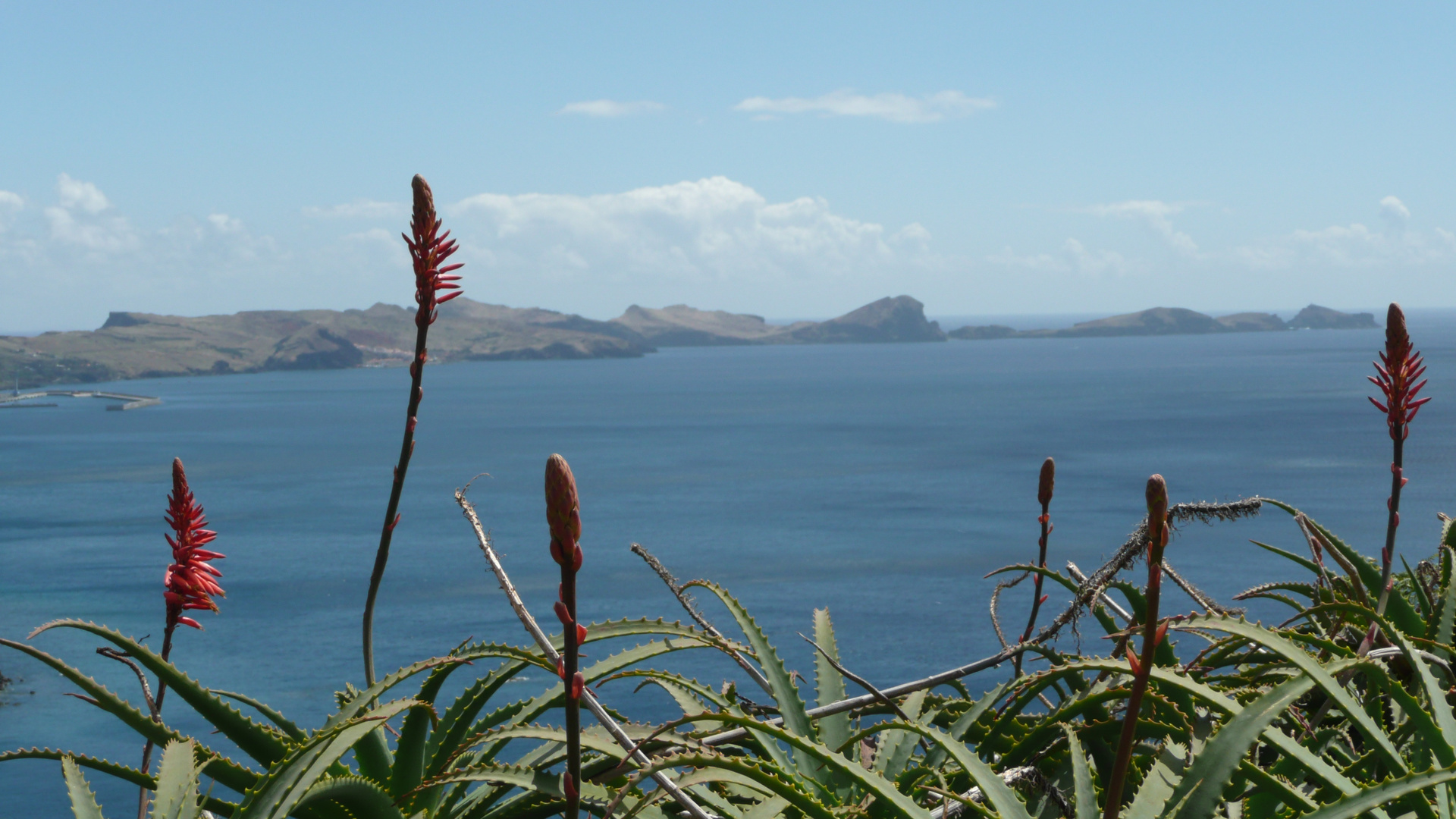 Ponta de Sao Lourenco