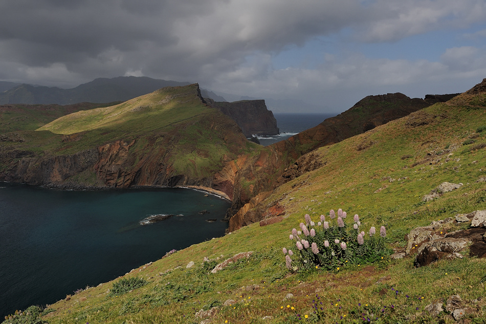 *Ponta de Sao Lourenco II*