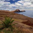 Ponta de São Lourenço