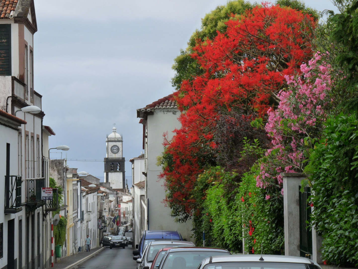 Ponta Delgada