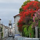 Ponta Delgada