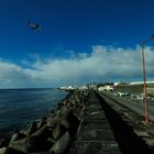 Ponta Delgada Hafenmole