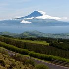 Ponta do Pico 