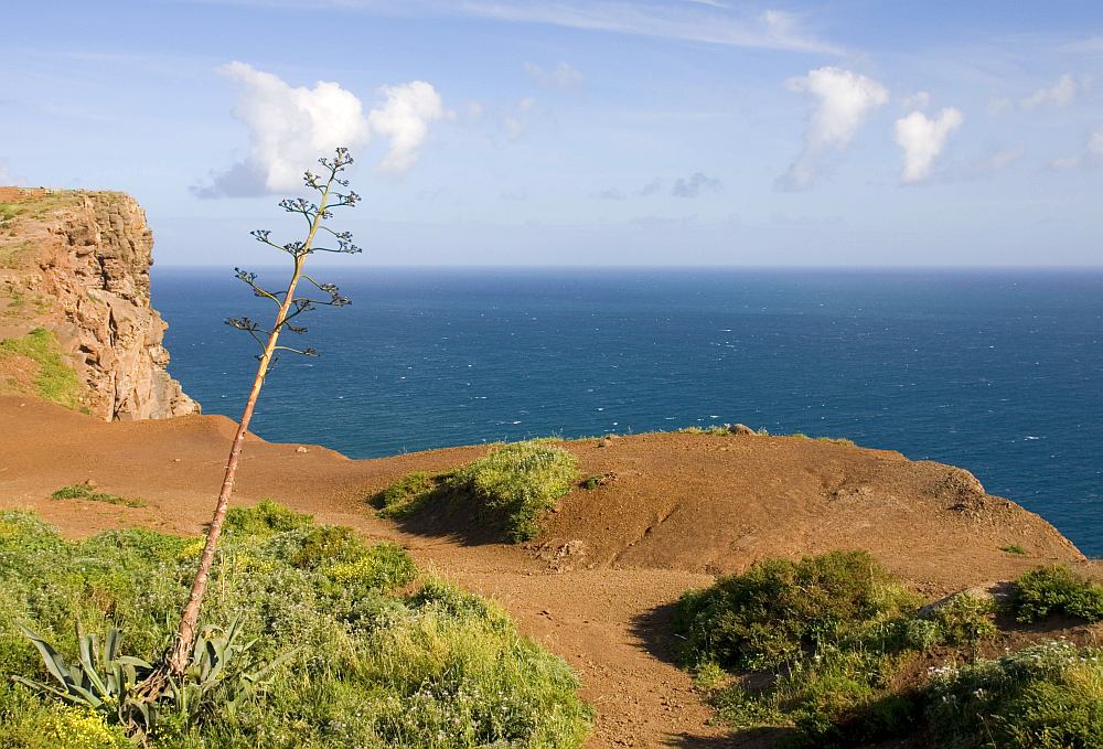 Ponta-do-Sao-Lourenco