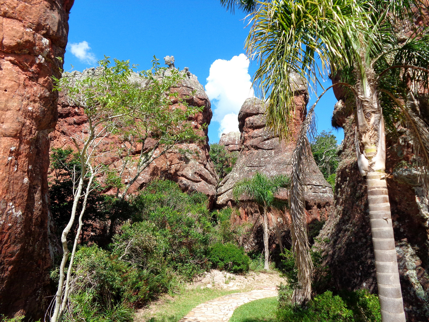 Ponta Grossa, National Park