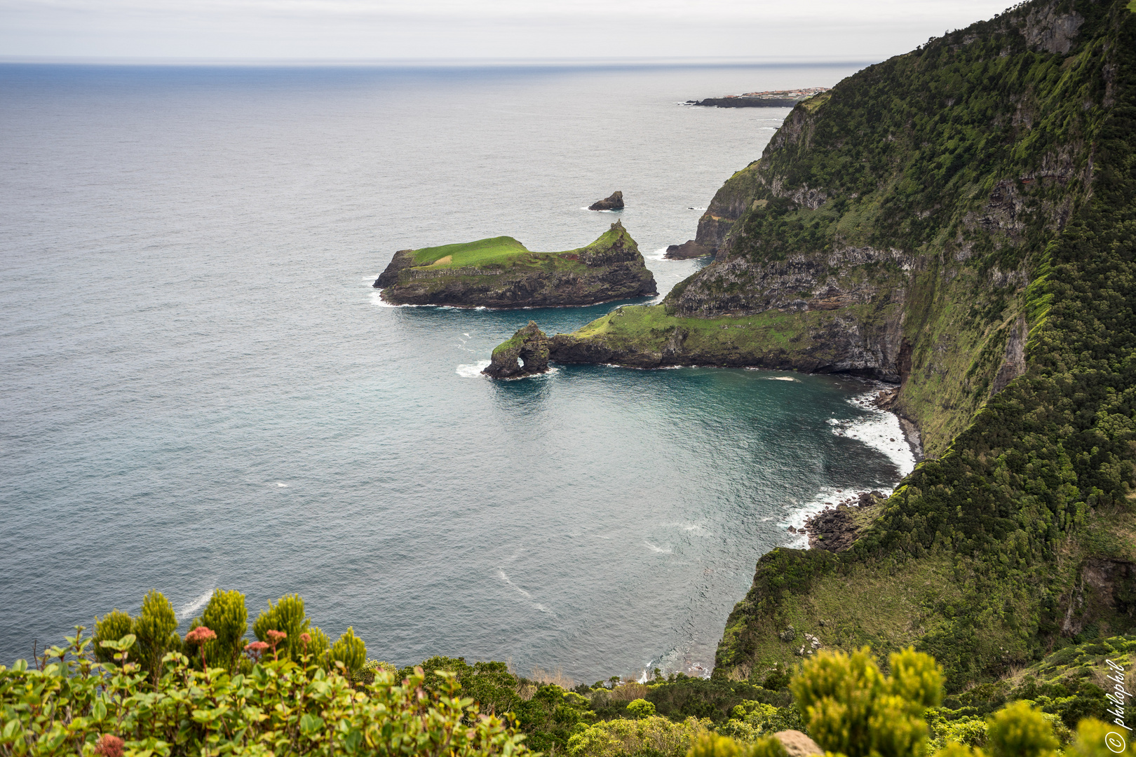 Ponta Ruiva