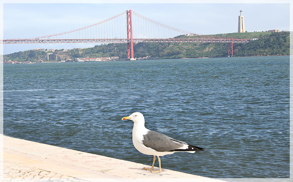 Ponte 25 de Abril