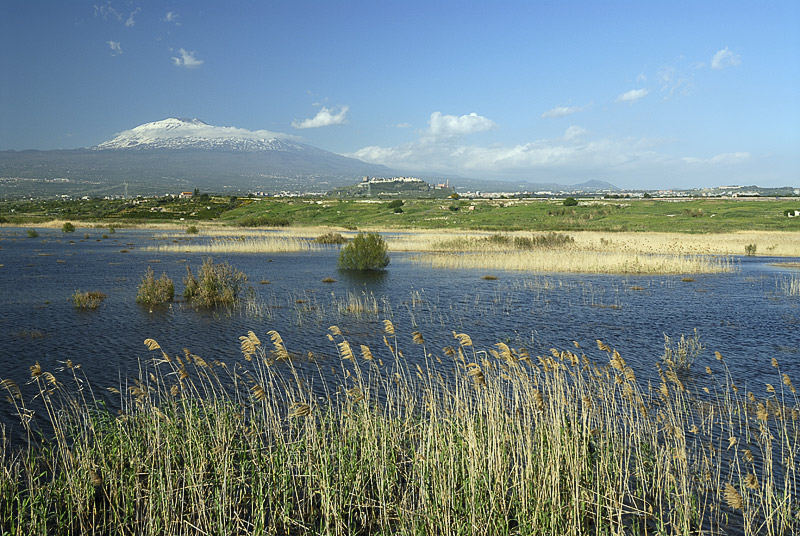 Ponte Barca