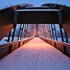Ponte Con Neve