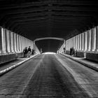 Ponte coperto, Pavia