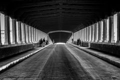 Ponte coperto, Pavia