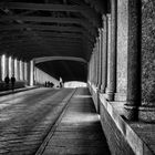 Ponte coperto, Pavia