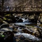 ponte ..... d'autunno