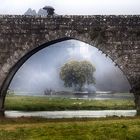 Ponte de Lima