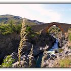 Ponte dei saraceni ( Sicilia )