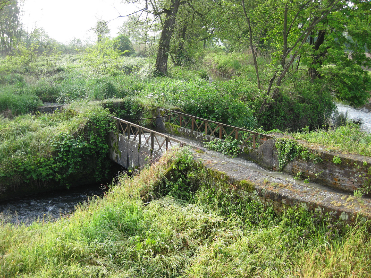 "Ponte del acqua"