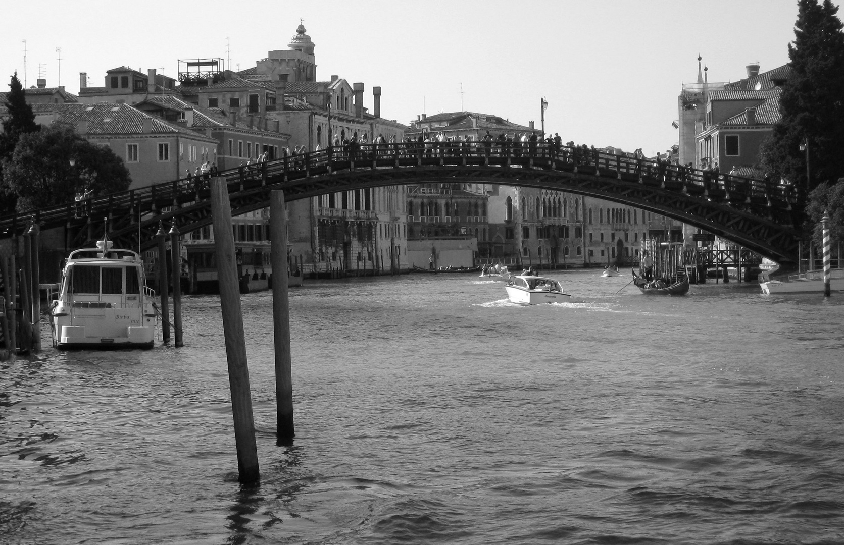 Ponte dell Accademia Venedig