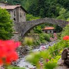 Ponte Della Dogana