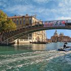 Ponte dell'Accademia - November 2020 