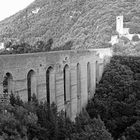 Ponte delle Torri. Spoleto.