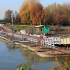 Ponte di barche in autunno