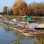 Ponte di barche in autunno