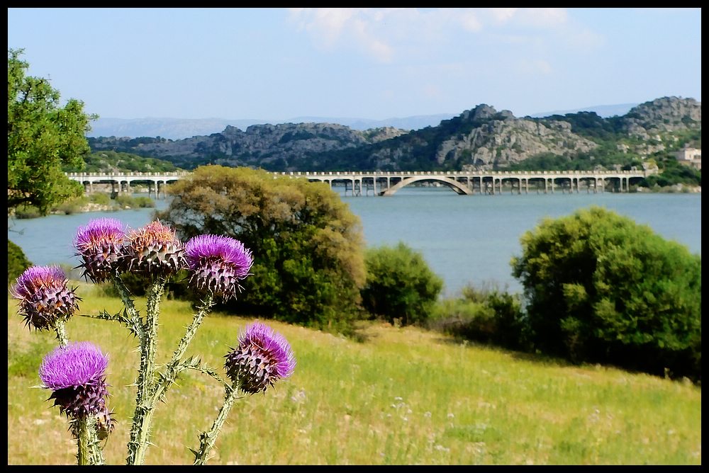 Ponte Diana Lago Coghinas Sardegna