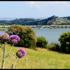 Ponte Diana Lago Coghinas Sardegna