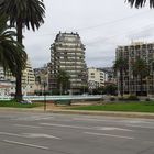 Ponte Ecuador - Viña del Mar