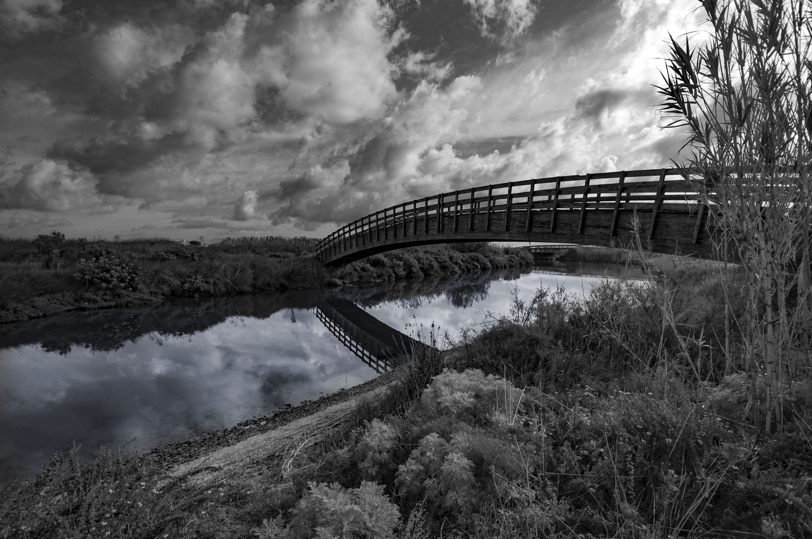 Ponte in legno