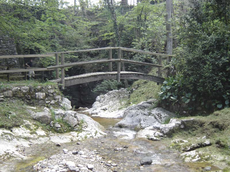 Ponte in legno