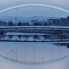 Ponte Meier