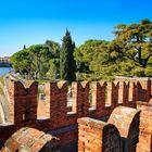 Ponte Scaligero (Verona)