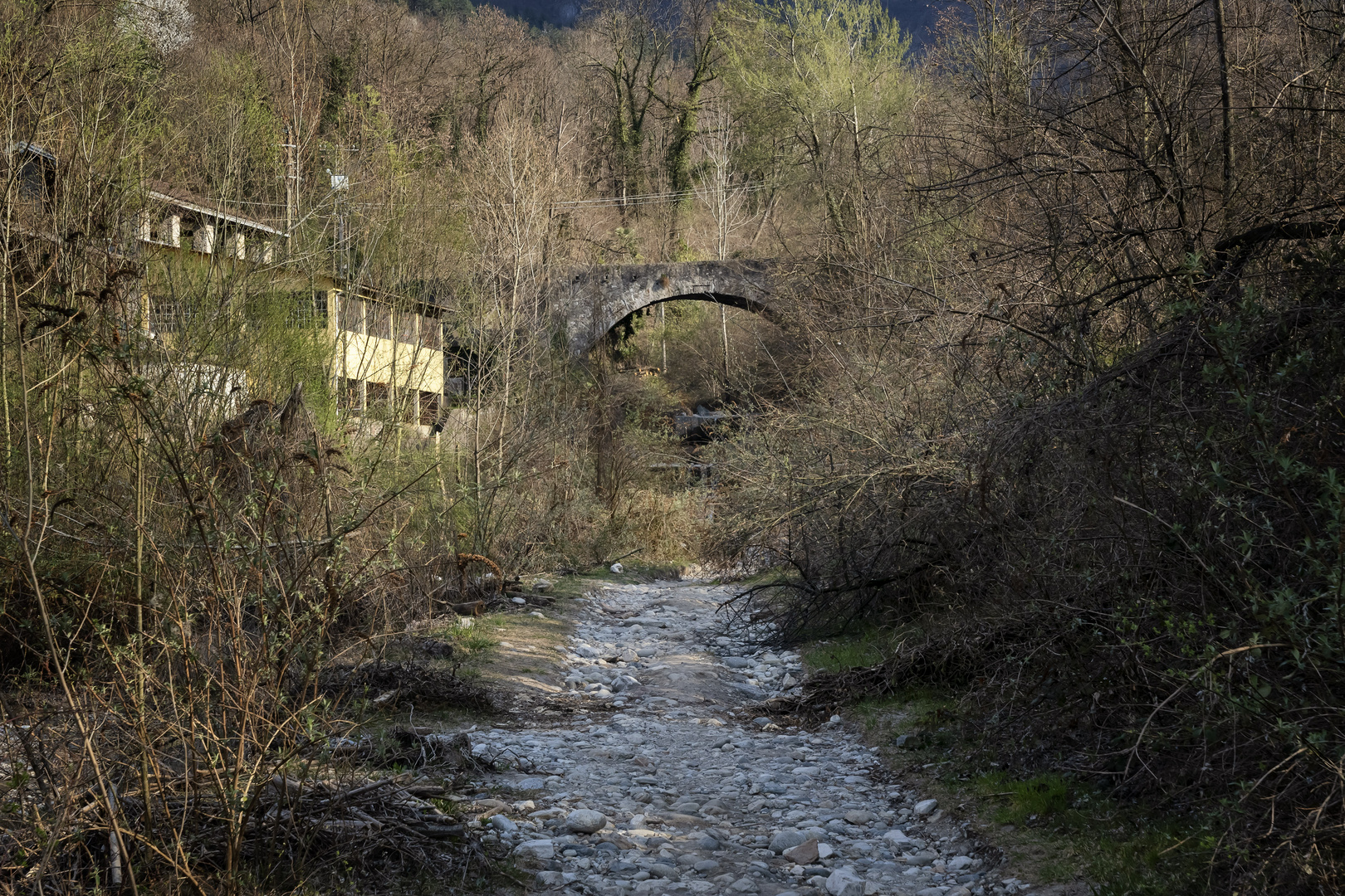 Ponte sul torrente Froda