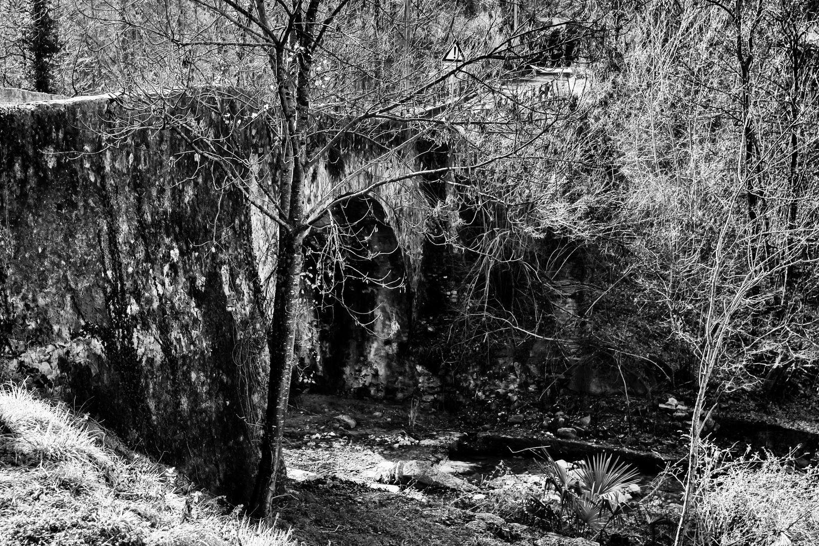 Ponte sul torrente Froda