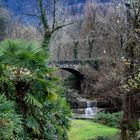 Ponte sul torrente Froda