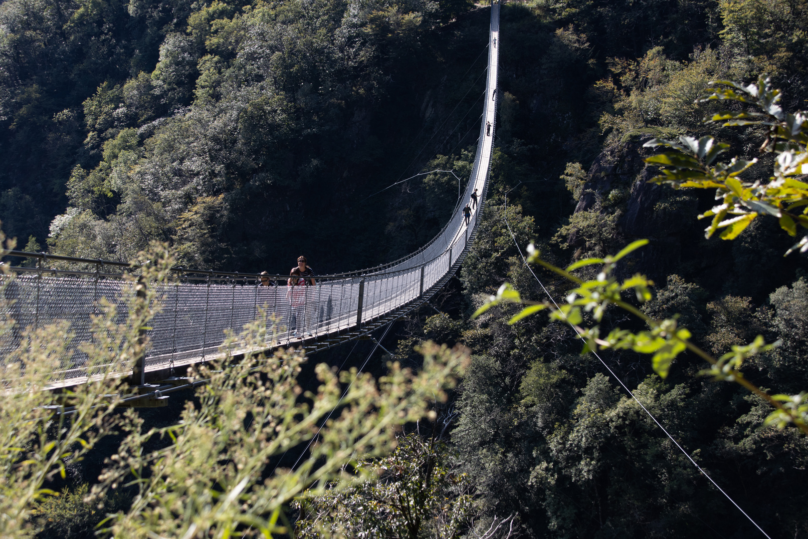 Ponte Tibetano