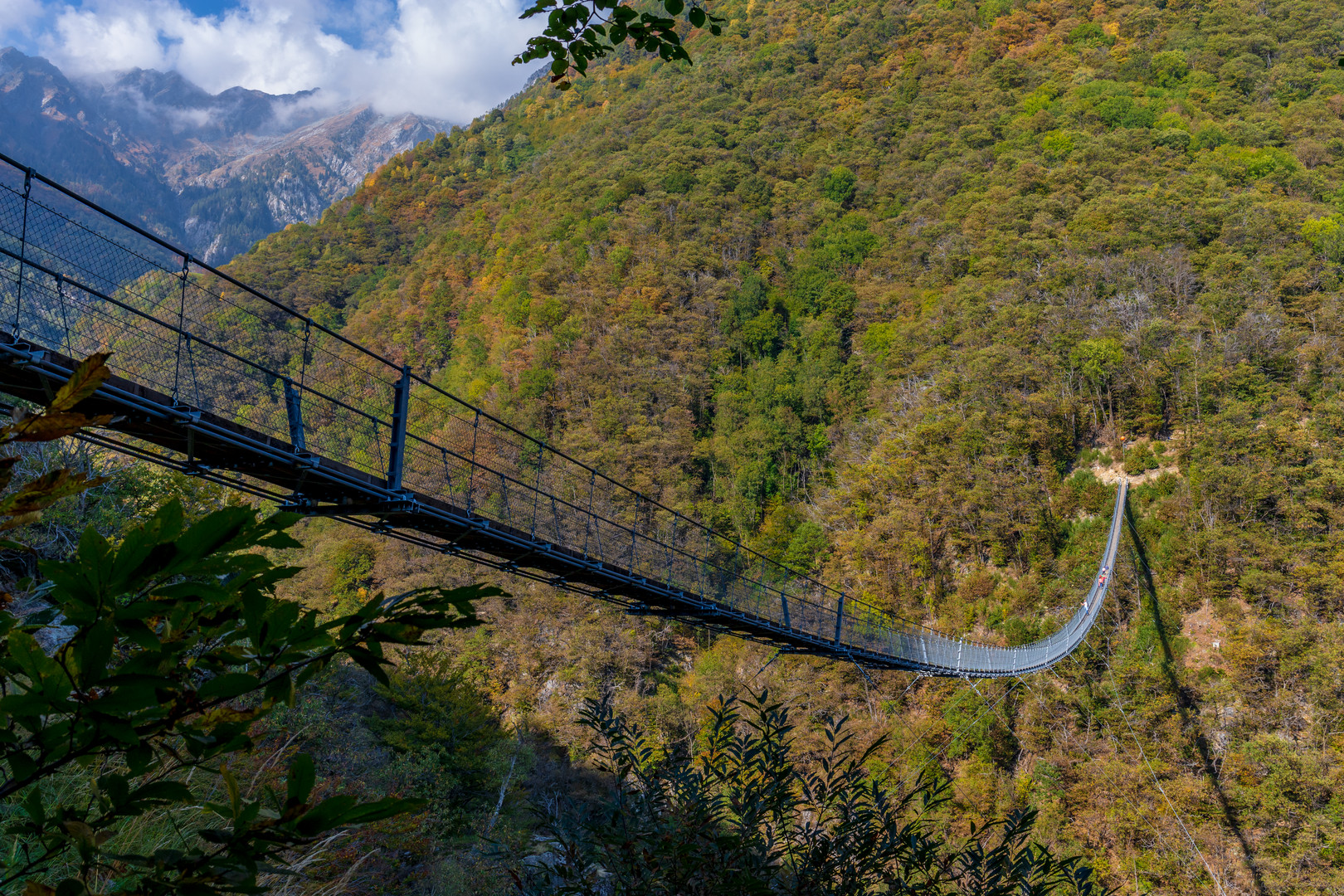 Ponte Tibetano Carasc