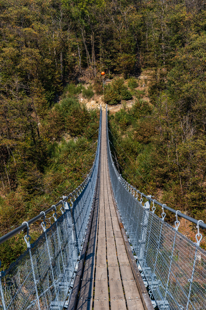 Ponte Tibetano Carasc