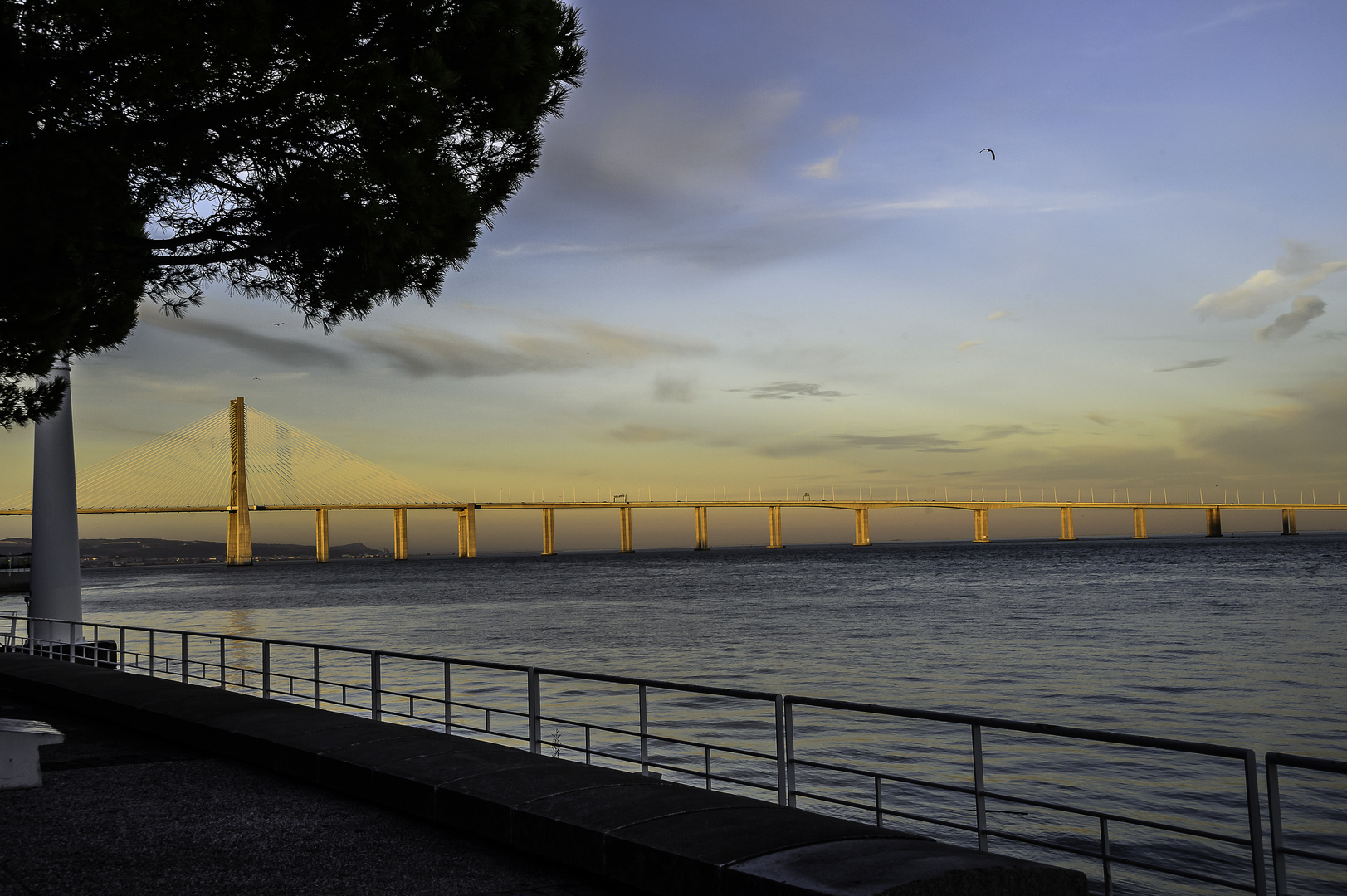 Ponte Vasco da Gama (3)