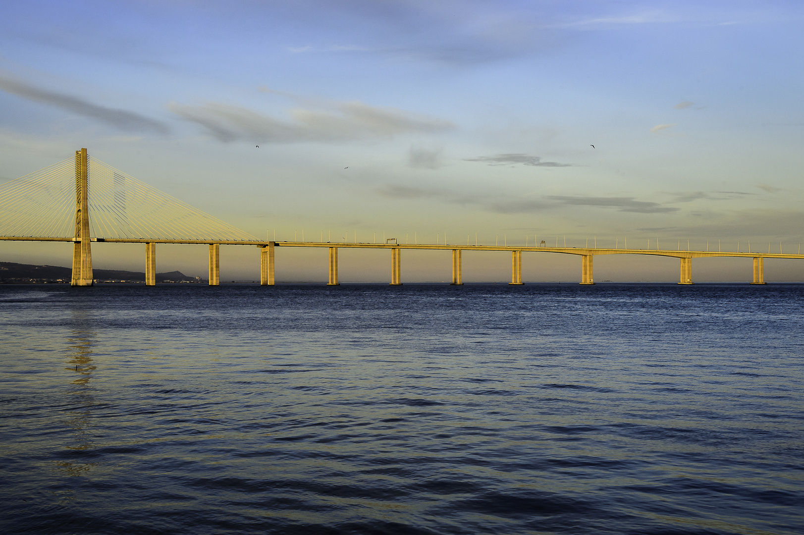 Ponte Vasco da Gama (4)