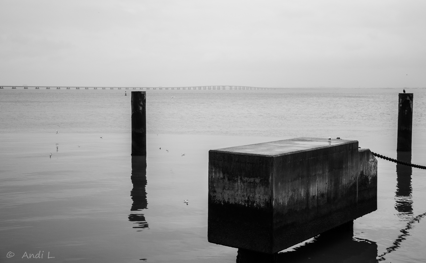 #ponte vasco da gama#