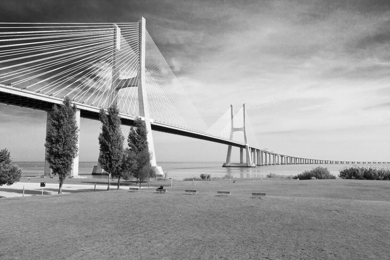 Ponte Vasco da Gama