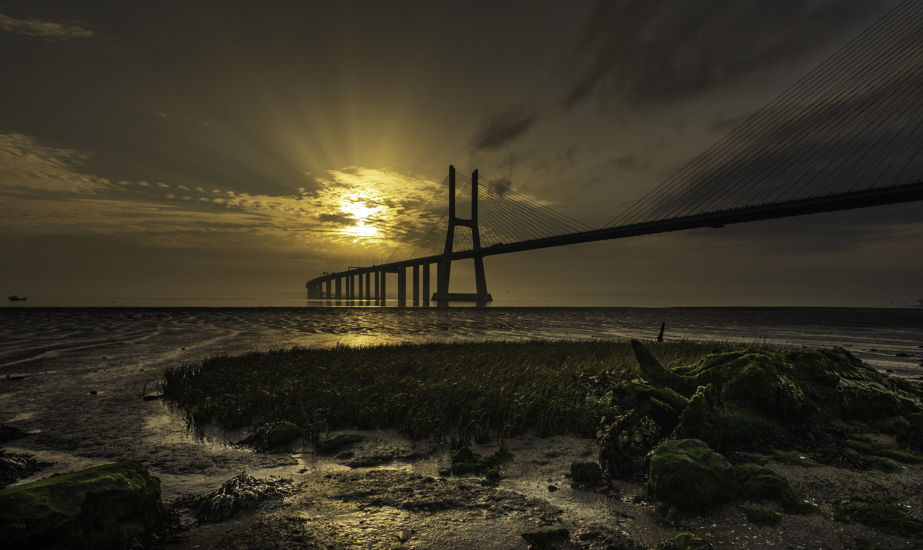 +++ Ponte Vasco do Gama +++