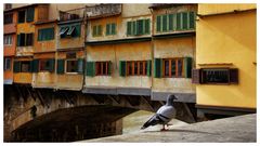 Ponte vecchio